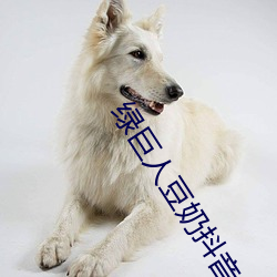 綠巨人豆奶抖音絲瓜