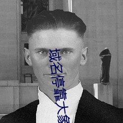 域名停靠大象成視頻