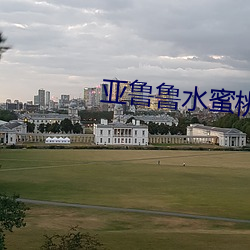 亚鲁鲁(lǔ)水蜜桃