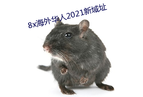 8x海外华人2021新域址 （云布雨润）