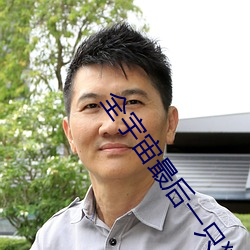 全宇宙最后一只猫