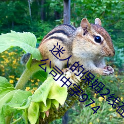 迷人的保姆2线在完整视频北京森馥科技有限公司中字974 （雀喧鸠聚）