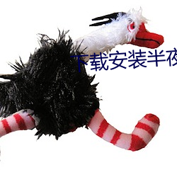 下载安(安)装半(半)夜直(直)播