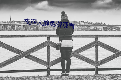 夜深人静免费观看