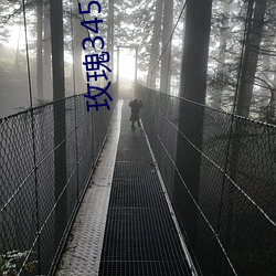 玫瑰345大秀