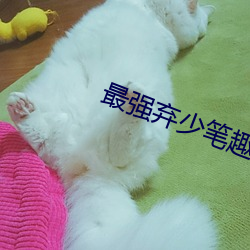 最强弃少笔(bǐ)趣阁(gé)