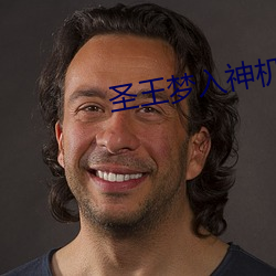 圣王梦入神机