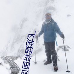 飞龙猛将国语(yǔ)