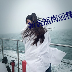 新金瓶梅观看
