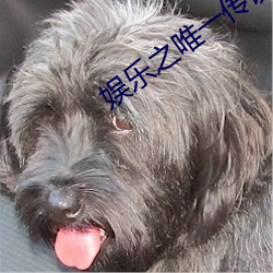 娱乐之(之)唯一传(傳)说(說)