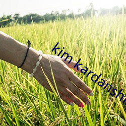 凯时|AG(AsiaGaming)优质运营商
