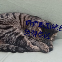 青青草原綜合久久大伊人精品開放免費專區