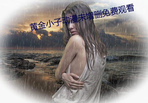 黄金小(xiǎo)子动(dòng)漫未增删免费观看
