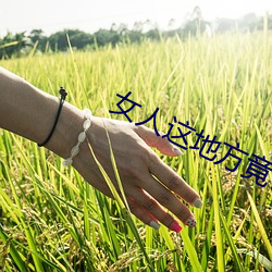 女人这地(dì)方竟(jìng)让男人把持(chí)不住