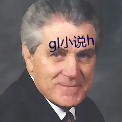 gl小说h