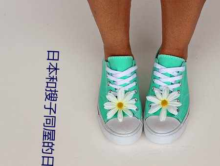 日本和搜子同屋的(de)日子2