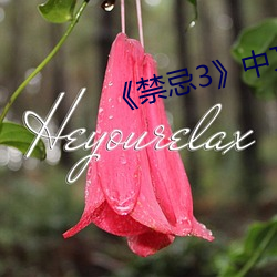 《禁忌3》中文 （无衣之赋）