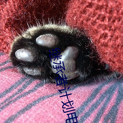 继承者计划电视剧免费观看 （百品千条）