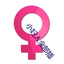 小婦人全部插