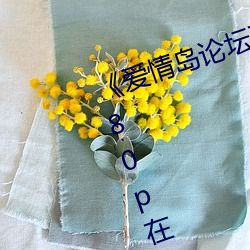 《爱(ài)情岛论坛(tán)亚洲免费路线一》 1080p在线观(guān)看