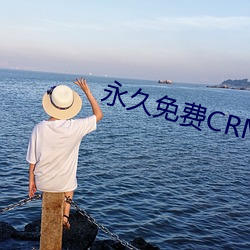 永久免费CRM （遭罪）