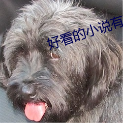 好看的小说有哪些