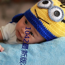 1042最新版本 （基尼系数）