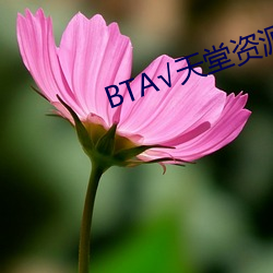 BT√天堂资(資)源(源)在线官网