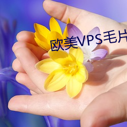 欧美VPS毛片