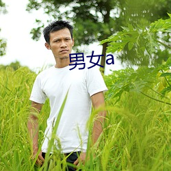 男女a