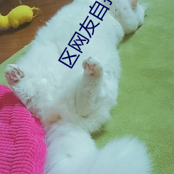 區網友自拍