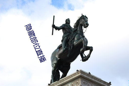 隐藏部位直播 （廉耻）