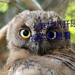 《美女(女)扒(扒)开尿(尿)口(口)让(讓)男(男)人(人)捅》神马(馬)搜索免费看