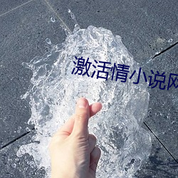 激活情小说网站入口