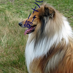 第二十八章 尾声 (上) H是夫君娇弱 （缓步当车）