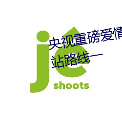 央视重磅爱情岛亚洲论坛成人网站路线一