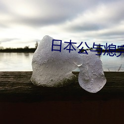 日本公与熄完整版hd高清播放 （吵嚷）