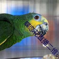 (di)ֱ(zh)ά(m)