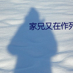 家兄又在作死