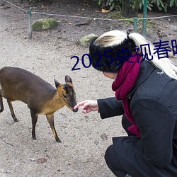 2025央视春晚启动最新消息