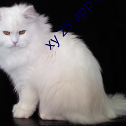 xy 25 app下载