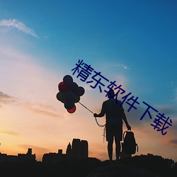 精东软件(件)下载