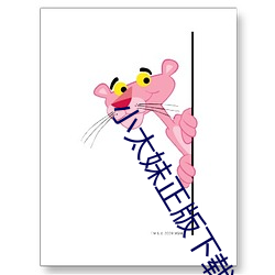 小太妹正版下載