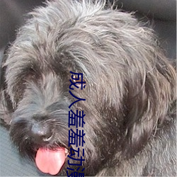 成人羞羞动漫网站 入口免费