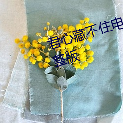 君心(心)藏不(不)住电视(視)剧免费观看全集完整(整)版