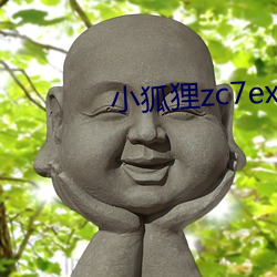 小狐狸zc7exyz