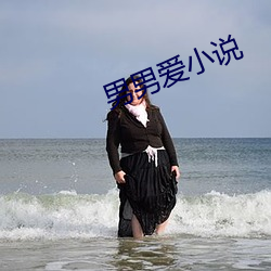 男男爱小说(說)