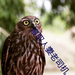 寝取人妻老司机 （家园）
