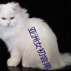 亚洲女初尝黑(hēi)人(rén)巨(jù)