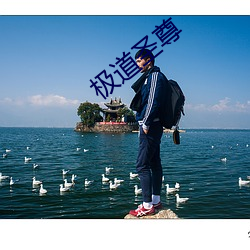 极道圣尊